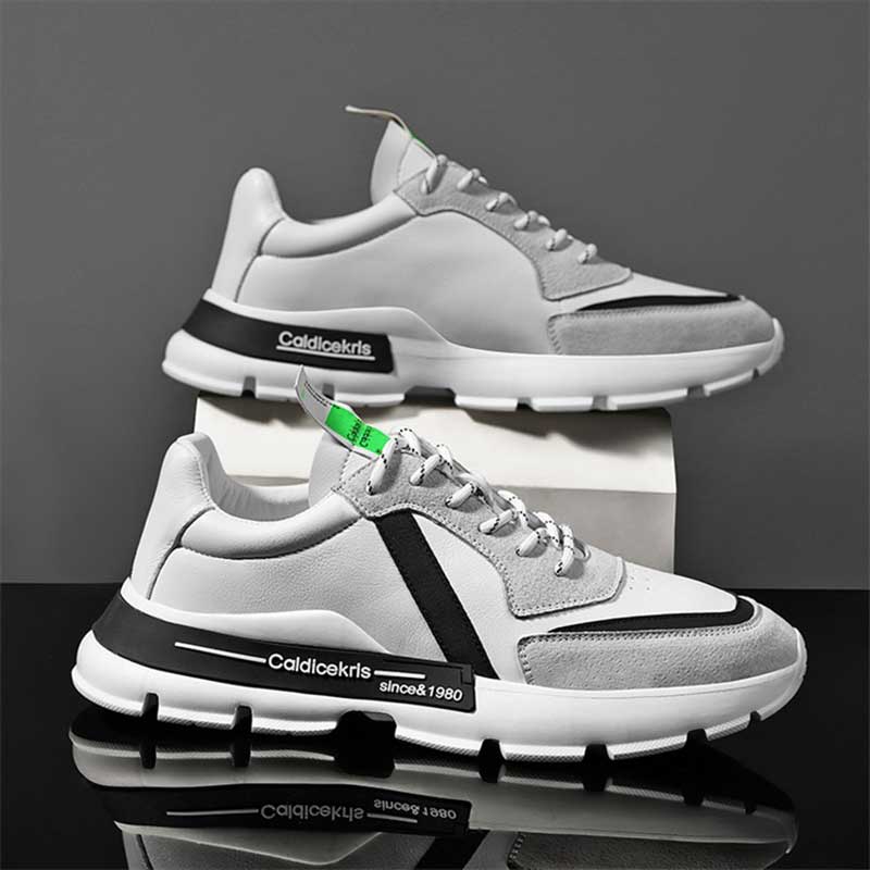 CaldiceKris（中国CK）新款透气休闲运动男鞋CK-X1009