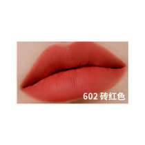 悠宜Unny绒雾哑光唇泥口红唇釉602砖红色 显色不显唇纹，不拔干，哑光