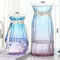 创意花瓶玻璃透明水养客厅摆件鲜花插花瓶北欧简约富贵竹干花花瓶(24CM浪漫+18新诺2件【蓝紫】中等 默认版本)