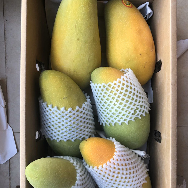 特大金煌(水仙)芒果 17斤6个一箱 每个2.