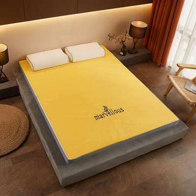 伊伊爱活性炭记忆棉可拆洗床垫厚9公分多色（单位：个）(绿色 床垫褥子单条Z02000193)