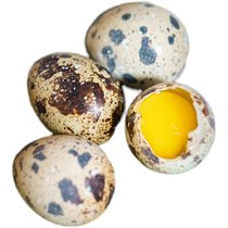 农家杂粮喂新鲜鹌鹑蛋70枚鹌鹑蛋生蛋鹑鸟蛋宝宝辅食 整箱包邮