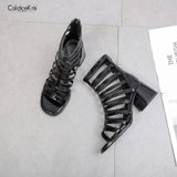 CaldiceKris （中国CK）后拉链时尚镂空凉鞋女舒适凉靴CK-X1688-6(黑色 34)