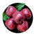 甘肃天水花牛苹果  果径60-70mm   2.5斤(2.5斤)