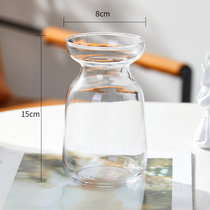 北欧创意ins风透明玻璃小花瓶水培干鲜花插花装饰品客厅家用摆件(中等)