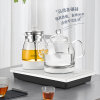 Seko新功 W34玻璃煮茶器家用全自动蒸汽煮茶壶喷淋式烧茶壶电茶炉