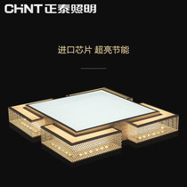 正泰照明时尚长方形led客厅主卧室房间吸顶灯具 大气现代简约调光(54W正白光)