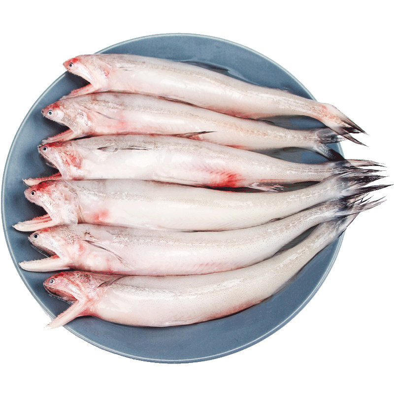 东海龙头鱼新鲜海鲜水产九肚鱼鲜活冷冻豆腐鱼水潺宝宝辅食鱼3斤图片