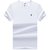 莱诗伯特  夏季男士短袖t恤纯色圆领百搭青年男体恤衫LB6012(白色 XXXL/190)