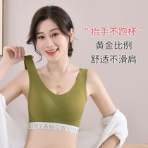 帕兰朵2件装美背文胸一体无痕运动内衣2022春夏薄款 高颜值亲氧6.0(【1件装】豆蔻绿 L【100-120斤】)
