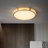 乐米-晨曦300 客厅吸顶灯简约现代led轻奢2020年新款北欧家用大气灯具