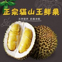 正宗马来西亚猫山王榴莲液氮冻整果 D197 顺丰空运(5.0-5.5斤)
