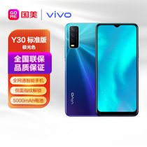 vivo手机Y30标准版4G全网通4G+128G极光色