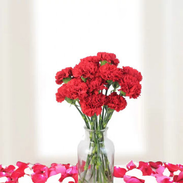 红色康乃馨(红色 19枝)