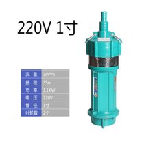 率龙CZ1W多级潜水泵高扬程工地水泵220V潜水电泵380V 1.1KW35米2叶220V（单位：台）(墨绿 CZ1W)
