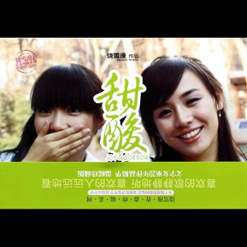甜酸/饶雪漫文集青春疼痛系列