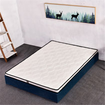 亿景鸿基 床垫单人床床垫棕床垫(10公分厚 1.5米)