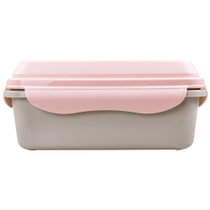 甜厨（TenCook） 940ml彩色系列抽真空保鲜盒 饭盒便当盒 微波炉冰箱可用 樱花粉+ins灰  可分隔 TCVSB01312