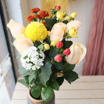 北京杭州居家鲜花 办公室鲜花 按月送花 玫瑰鲜花速递同城送包月鲜花(巧克力色)