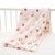 纱布婴儿床床单纯棉a类2层盖毯儿童午睡毛巾被夏季薄单子床上用品(200X220±5cm 2层草莓)