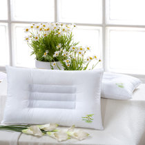 黛丝丹奴新款决明子枕芯单人枕头芯颈椎保健枕芯一对拍2成人保健枕芯(48x74)