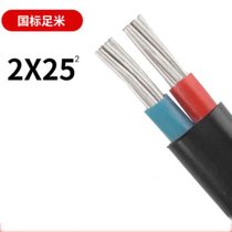 率龙电线电缆SL20国标电缆电线YJV2*25（单位：米）(默认)