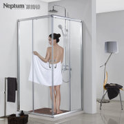 莱博顿长方形淋浴房定制整体浴室卫生间隔断简易沐房推拉玻璃移门WE1142(800*800含石基)