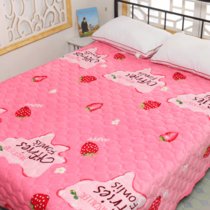 珊瑚绒毛毯床单夹棉防滑双层法兰绒毛毯子保暖盖毯休闲毯空调毯(草莓)