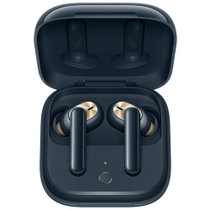 OPPO Enco W51 真无线降噪蓝牙耳机 双重主动降噪 降噪耳机 游戏/音乐/通话耳机 通用苹果华为手机 羽黑