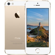 苹果（Apple）iPhone5S 金色 移动联通 双4G手机(金色 移动/联通双4G 官方标配)