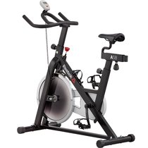 锐步动感单车健身车室内自行车脚踏车RVAR-11600SL ZSRVAR-11600SL ZS 家用健身器材