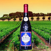 法国原装进口红酒拉图斯干红葡萄酒单瓶或者整箱装葡萄酒(拉图斯干红葡萄酒 六只装一箱)
