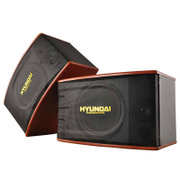 现代（HYUNDAI）CY-450 家庭会议室卡拉OK舞台音响套装（黑色）