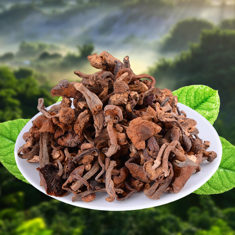 【黑河市菌类南北干货图片】东北特产山货野生榛蘑 大兴安岭特色小鸡