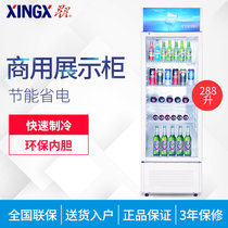 星星（XINGX）288升单门商业冰柜立式 冷藏柜饮料柜 立式冰柜 商用展示柜 饮料陈列冷柜 白色 LSC-288G(白色 288)