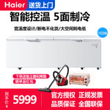 海尔(Haier)BC/BD-1028T 1028升 卧式商用大冰柜 单温一室冷藏冷冻转换 电子控温数字温显 大容量