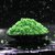 1斤彩石彩色小石头多肉花盆铺面园艺装饰造景鹅卵石子鱼缸铺底沙(绿色 1斤0.3-0.5cm渲绿)