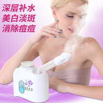 凯仕乐(Kasrrow) KSR-B1203 美容器 蒸汽美容器 美容按摩器 美容仪
