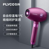 飞科(FLYCO)FH6286电吹风机家用负离子护发大功率专业发型师吹风筒(紫色 热销)