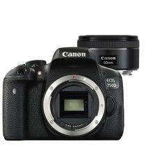 佳能（Canon）EOS750D 单反相机(EF 50mm f/1.8 STM定焦镜头) 750D套机(套餐六)