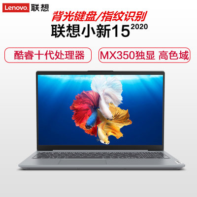 2020款 联想Lenovo 小新15【MX350 2G独显 100%sRGB色域】15.6英寸全面屏超轻薄笔记本电脑(十代i5-1035G1处理器 16G内存/512GB固态/标配)
