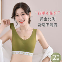帕兰朵2件装美背文胸一体无痕运动内衣2022春夏薄款 高颜值亲氧6.0(L【100-120斤】 【2件装】豆蔻绿_优雅黑)