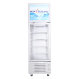 穗凌(SUILING) LT4-248 248升立式商用冰柜玻璃门展示冷柜双温上冷冻下冷藏
