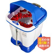 皇威（HUANGWEI）智能养生足浴器H-306C （足浴盆、洗脚盆、泡脚盆、足疗盆）