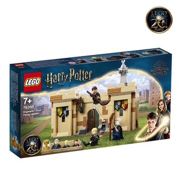 LEGO乐高【6月新品】哈利波特系列76395霍格沃茨：***的飞行课积木玩具