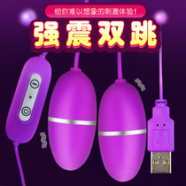 跳蛋入体成人女性强震情趣用具插入式跳蛋性玩具跳弹(USB10频单跳蛋套餐一)