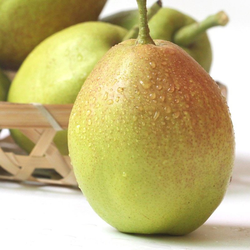 鲜盈果坊新疆库尔勒香梨12斤新疆特产清新诱人的好味道美味无渣多汁