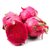 红心火龙果 3个装 新鲜水果 红肉火龙果 海南金都一号 生鲜 单果约300g