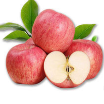 杞农优食山东红富士苹果约2.5kg箱装 香气浓郁 个大皮薄 脆甜多汁
