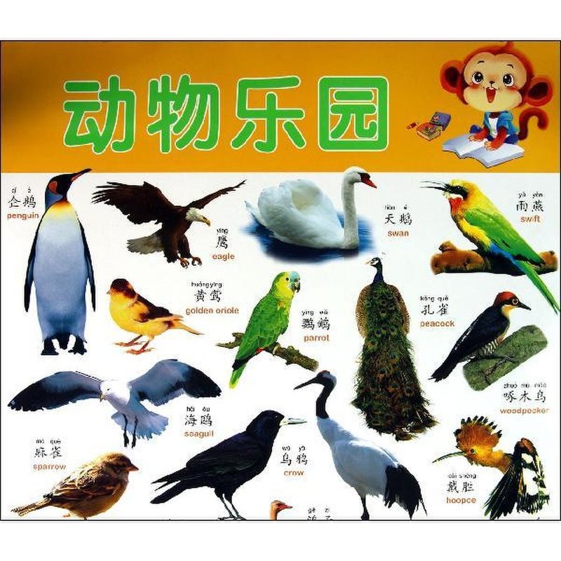 阳光宝贝炫彩挂图——动物乐园图片【图片 价格 品牌 报价】-国美